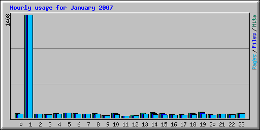 Hourly usage for January 2007