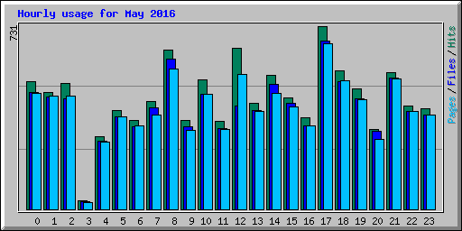 Hourly usage for May 2016