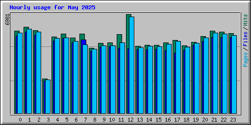 Hourly usage for May 2025