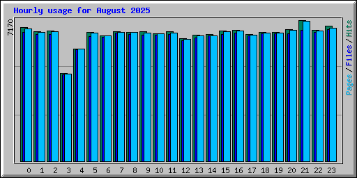 Hourly usage for August 2025