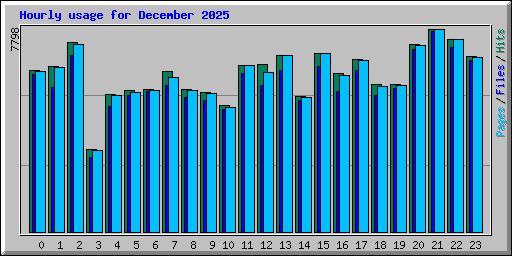 Hourly usage for December 2025