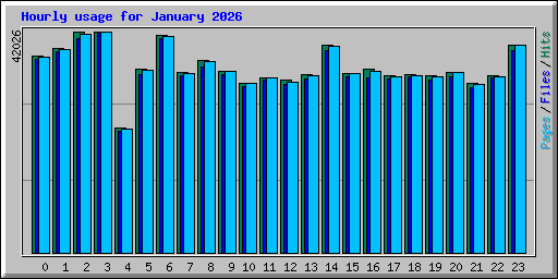 Hourly usage for January 2026